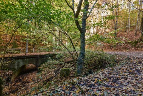 Brücke über den Steinbach