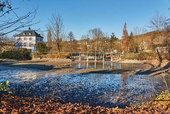 Trappensee mit Schlößchen Nov. 2021