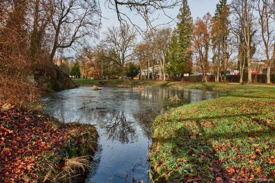 Prinzenpark mit teilweise gefrorener Wasserfläche