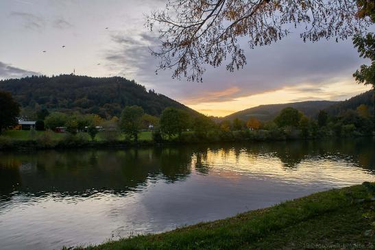 Blick auf Neckar