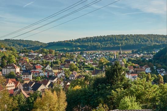 Blick auf Neckargerach vom Waldrand