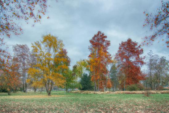 November