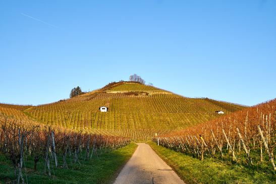 Blick zum Scheuerberg