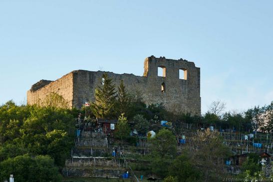 Burgruine Altsachsenheim