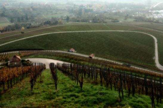 Sicht vom Scheuerberg auf Neckarsulm