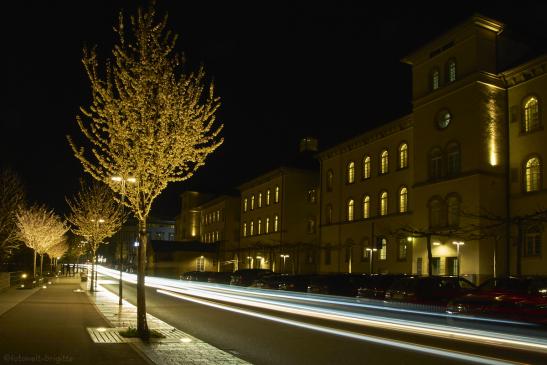Schw.Hall 3