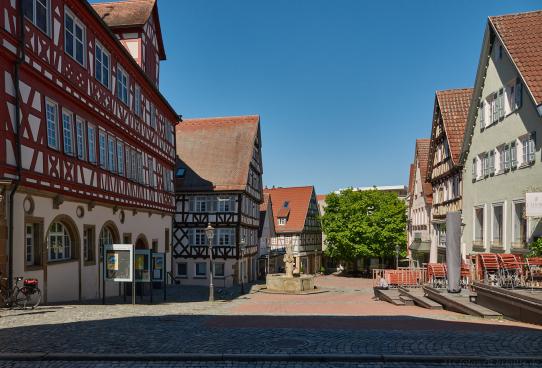 Marktplatz mit Gänsebrunnen