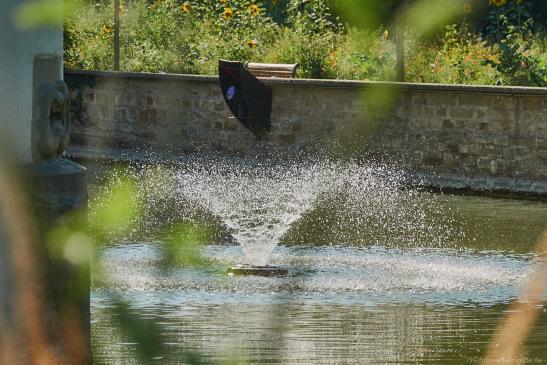 Wasser