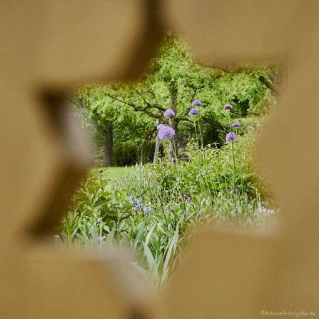 Botanischer Obstgarten mit den Fotofreunden