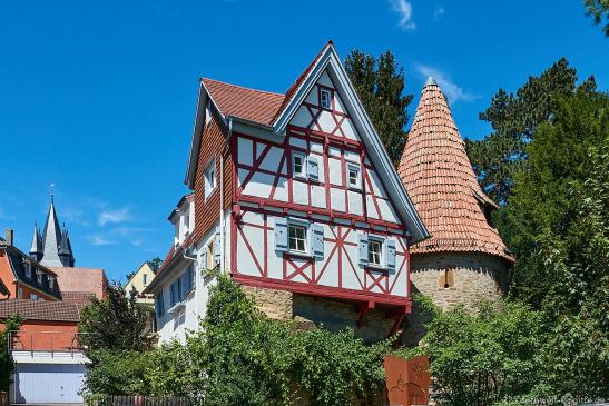 Reinwaldhaus mit Hexenturm