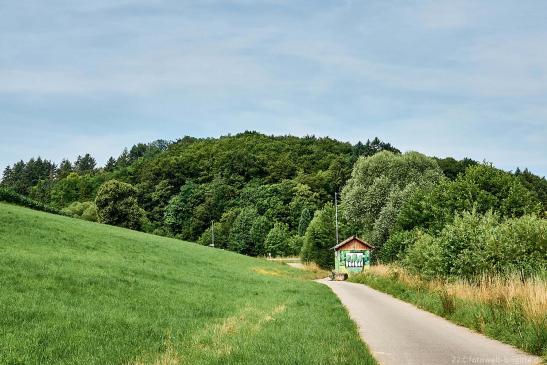 Sicht auf den Wald von Daisbach