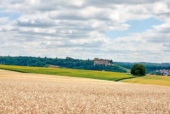 Blick auf Burg Stettenfels