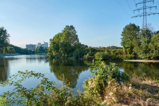 Mündung in den Neckar