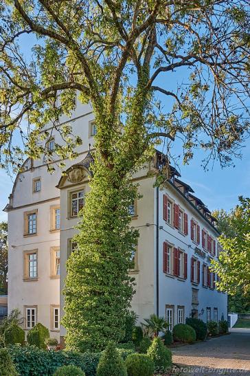 Schloss Lehen