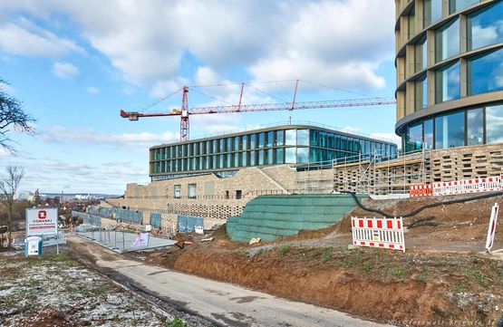 12-Januar-2025