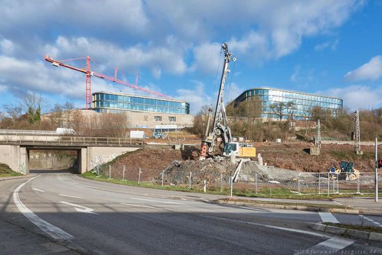 12-Januar-2025