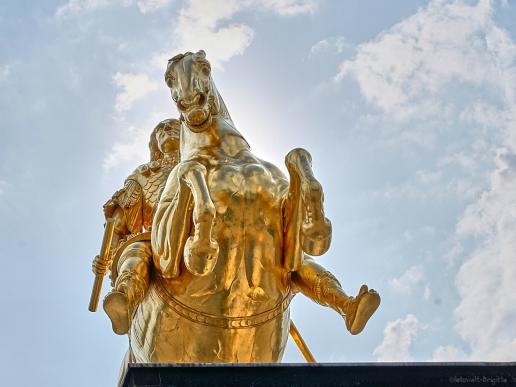 Goldener Reiter auf dem Neustädter Markt