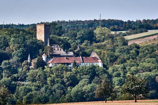 Blick auf Burg Ehrenberg