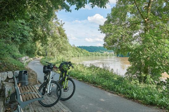 Neckarschleife bei Haßmersheim