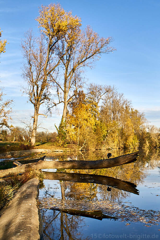 an der Kocher