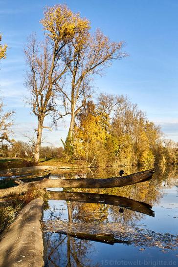 an der Kocher