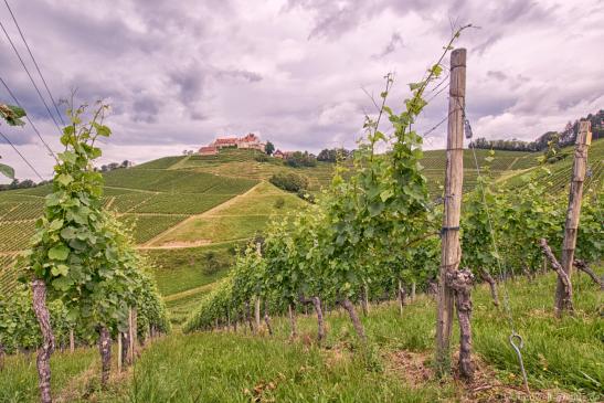 Blick auf Schloss Staufenberg