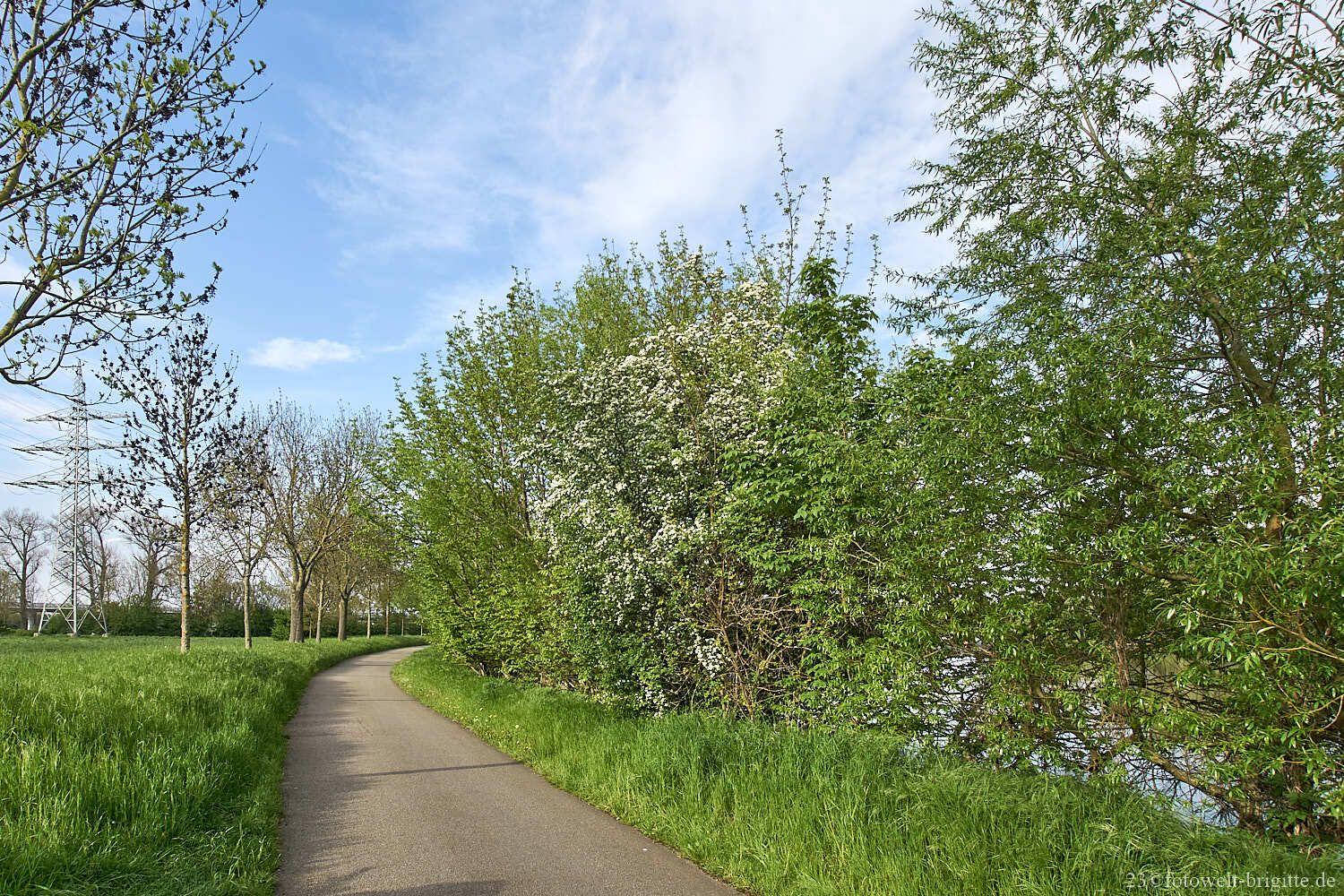 Neckartalradweg