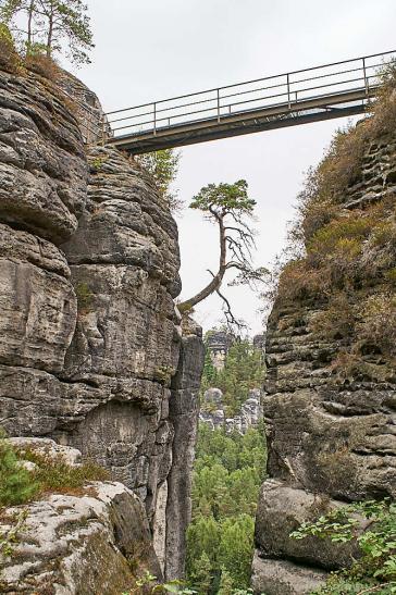  Steg in der Felsenburg