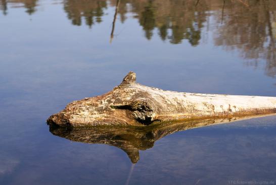 Bärensee