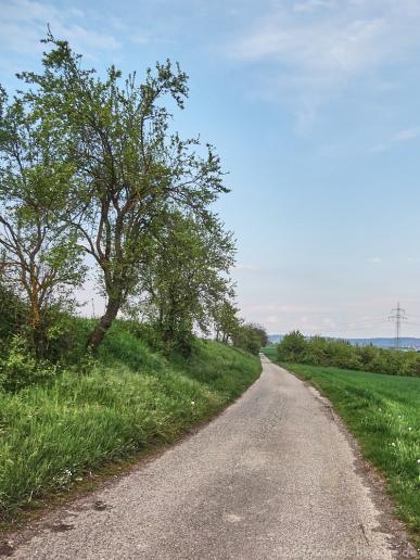 von Biberach nach Obereisesheim