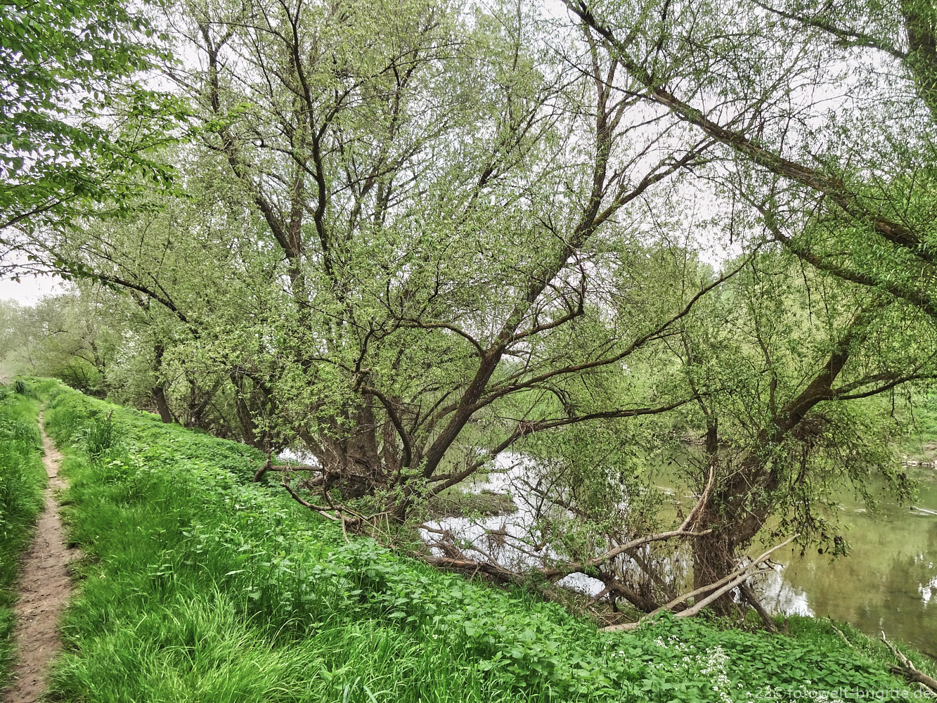 am Neckar entlang