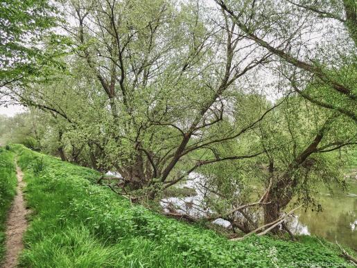 am Neckar entlang