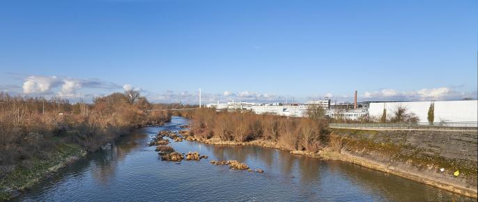 alter Neckar, Blickrichtung Neckarsulm