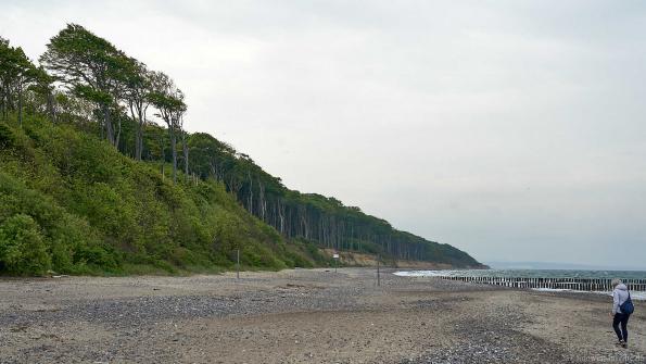 in Nienhagen am Strand