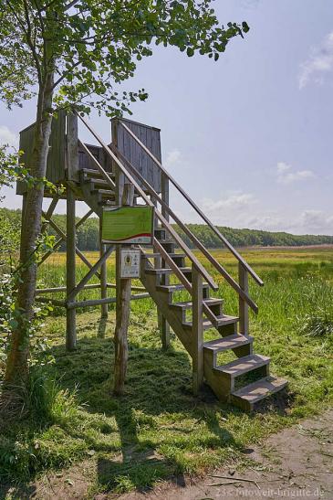 Abstecher zum Hütelmoor