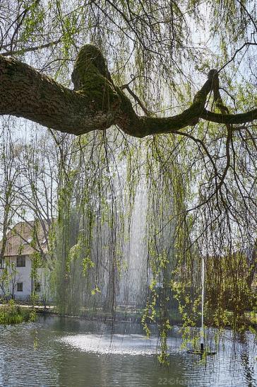 im Stadtpark