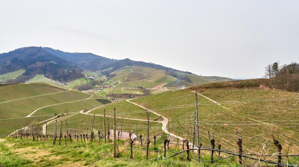 Blick vom Weg zum Hummelswälder Hof