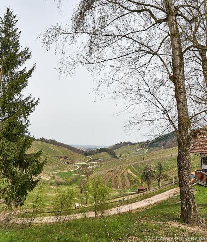 vom Hummelswälder Hof aus