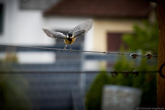 Hier kommt Superwoman