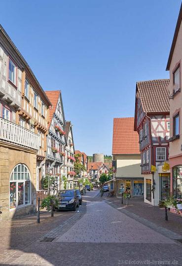 Blick zum Waldhornturm