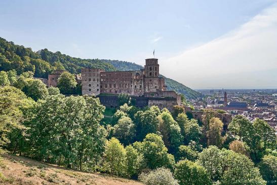 Blick vom Schlossgarten