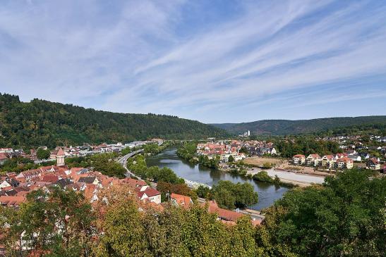 Blick auf den Main und rechts vom Main beginnt Bayern