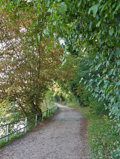 Rheinradweg entlang Waldshut