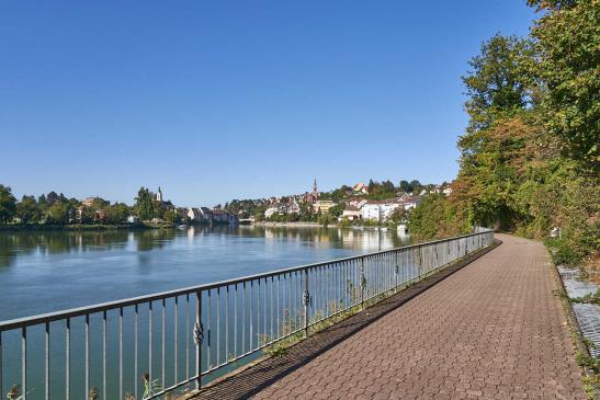 Radweg direkt am Rhein