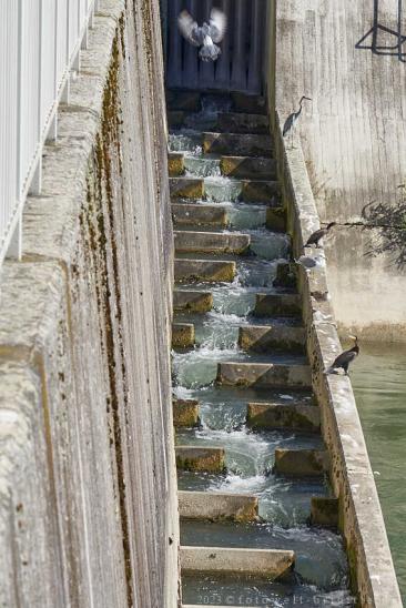 Fischtreppe beim Rheinkraftwerk