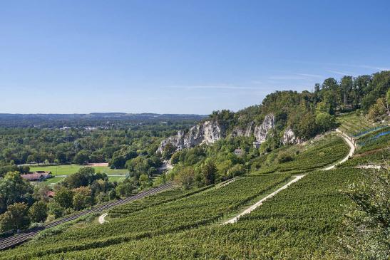 Blick auf den Isteiner Klotz