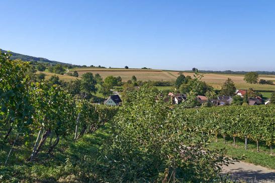 Rückblick auf Güttigheim