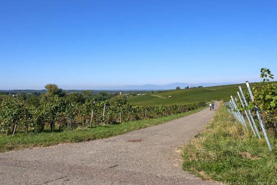 Rückblick auf Laufen