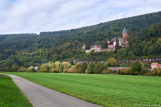 Schloss Zwingenberg