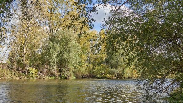 Sulm mündet in Neckar